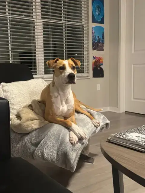 Courtesy Post: Honey