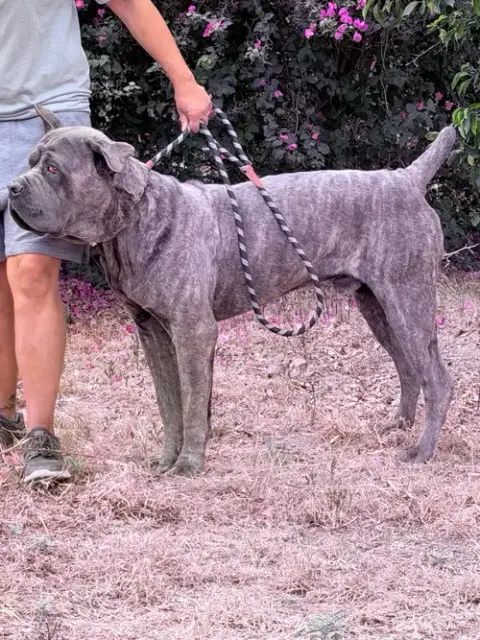 Max photo 5