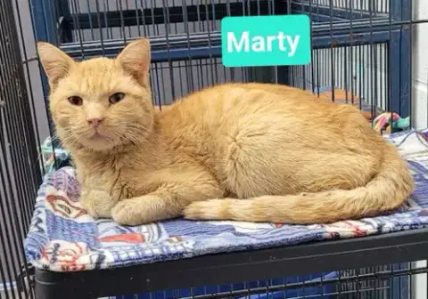 Marty