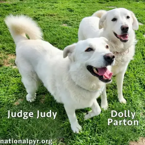 Judge Judy & Dolly Parton In Ky photo 2