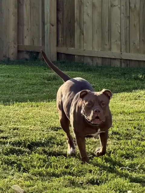Ruby photo 5
