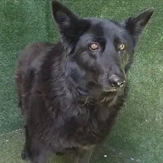 Bella photo 3