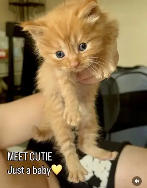 Cutie photo 3