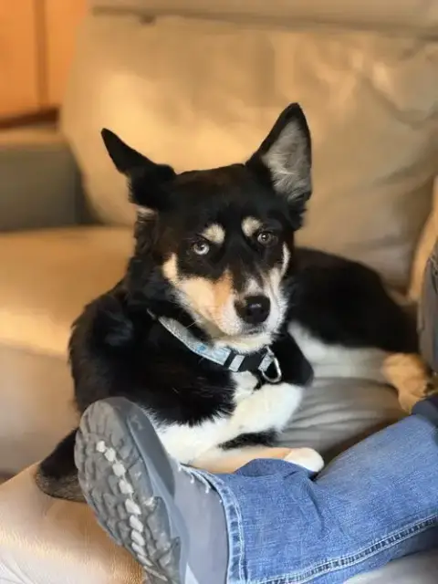 Kira photo 3