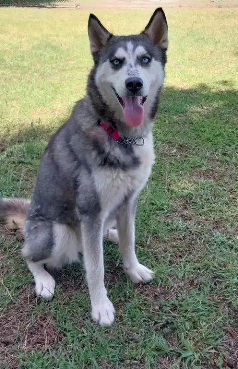 Wilma photo 5