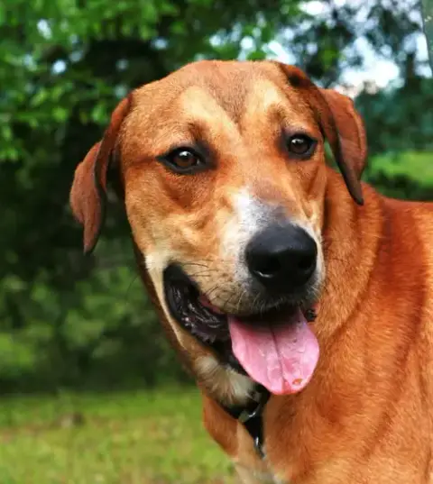 Oscar photo 5