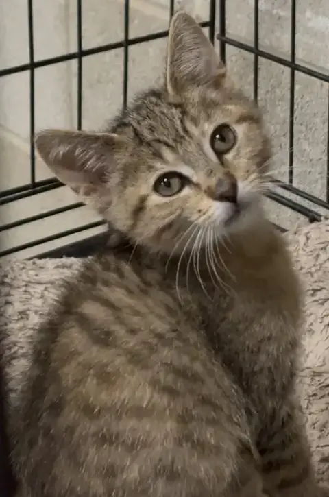 Luna photo 2