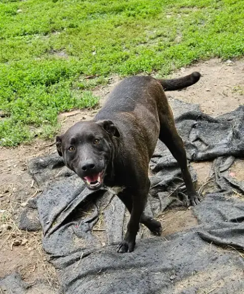 Max photo 2