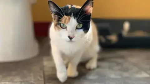 Gigi photo 2