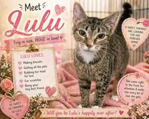 Lulu W/ Mom Mios photo 2