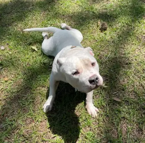 Gunther photo 4