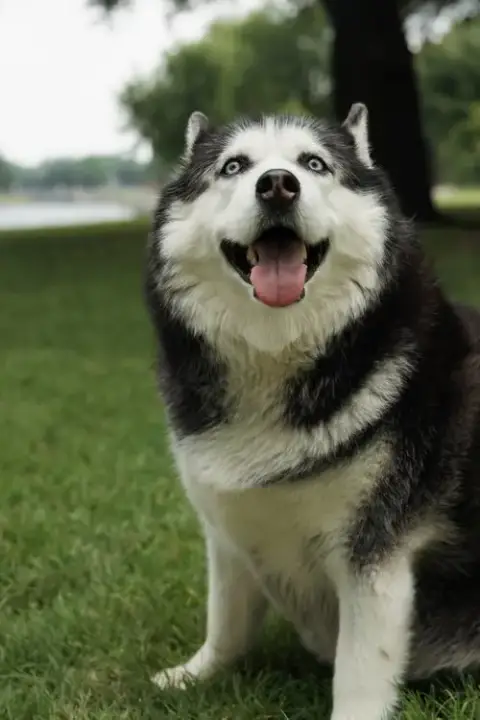 Mia photo 2