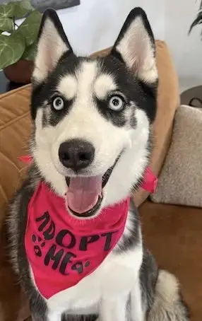 Riley