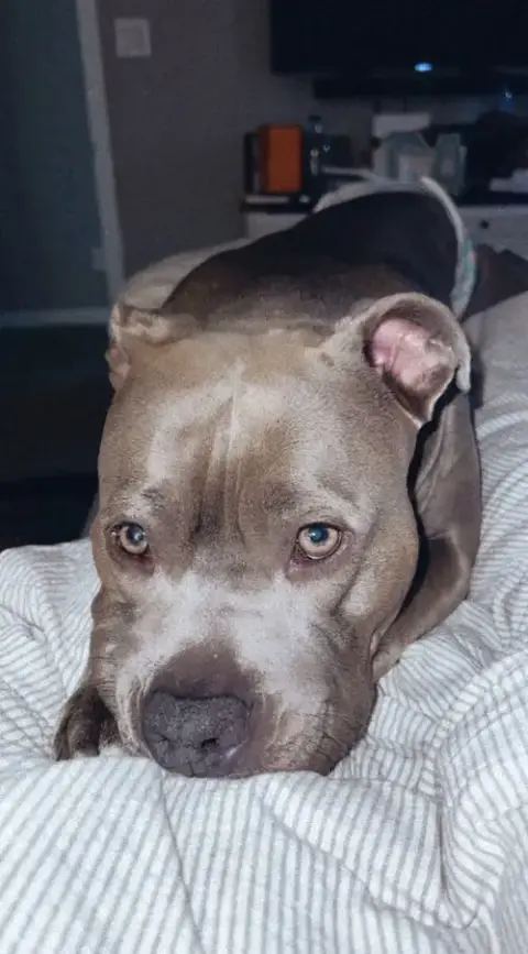 Marley photo 4