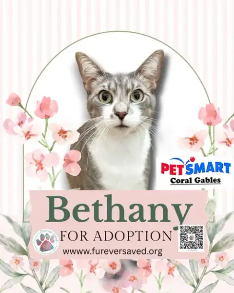 Bethany photo 3