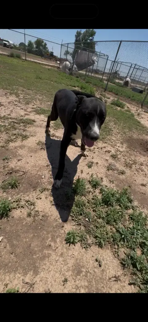 Tucker photo 2