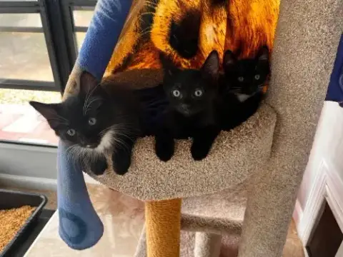 Zoomy photo 2