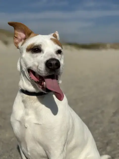 Ellie