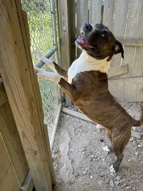Hercules photo 3