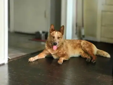Aero