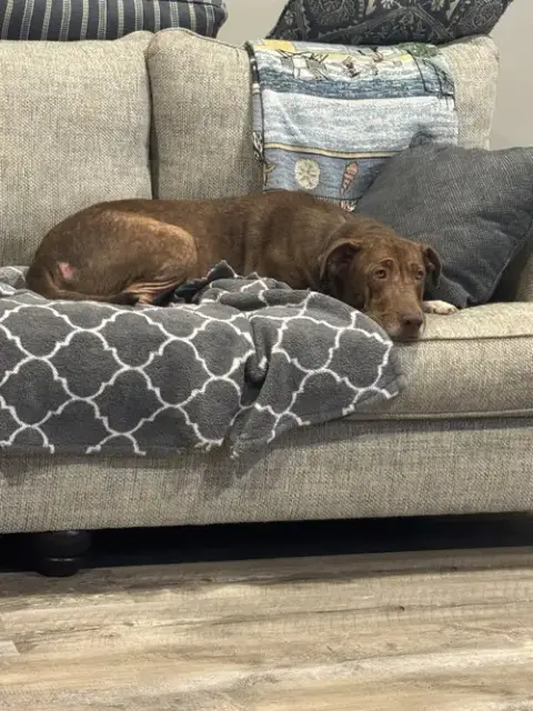 Rosie photo 5