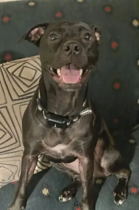 Dixie
