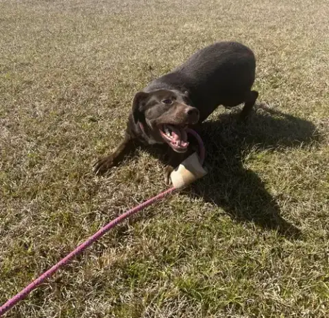 Lilah photo 2