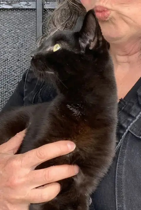 Pepper & Panther photo 4