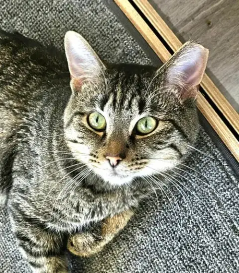 Flynn