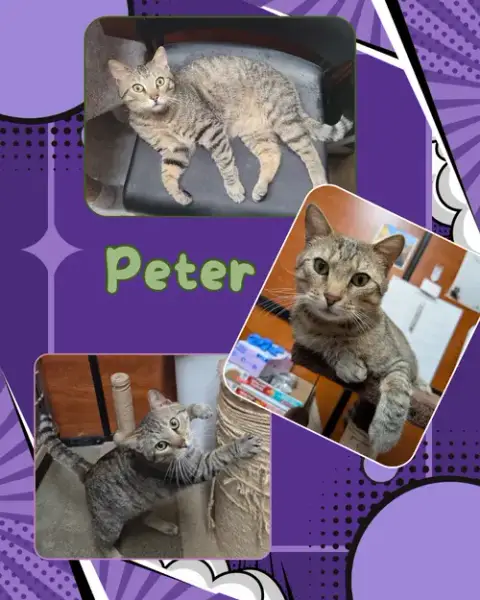 Peter