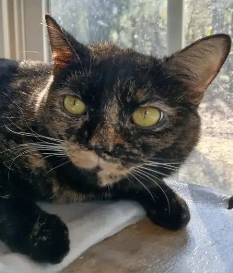 Junebug photo 4