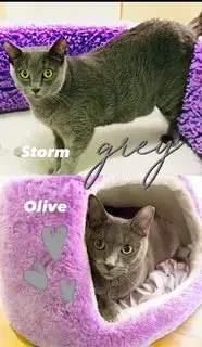 Storm