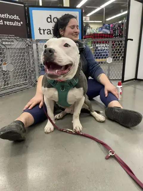 Hip,: Not At Shelter
