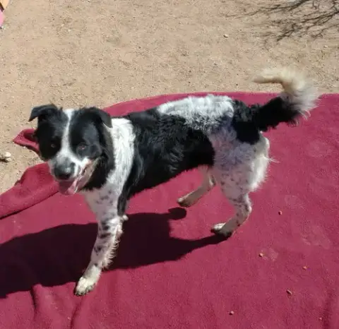 Jack Jack photo 3