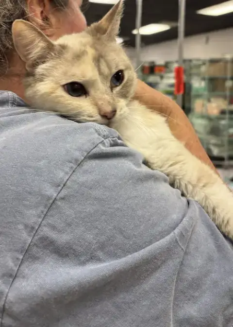 Rosemary