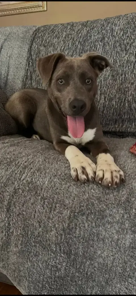 Princess Gracie Mae photo 3