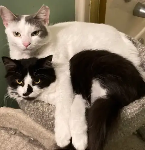 Mallory Bonded With Fran