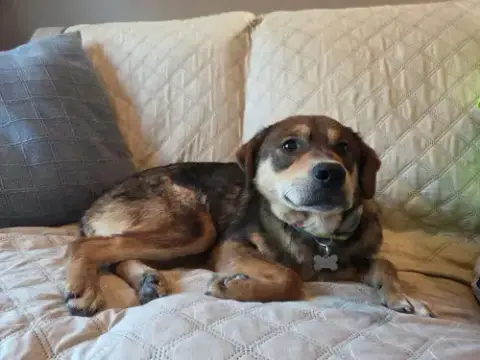 Cocoa