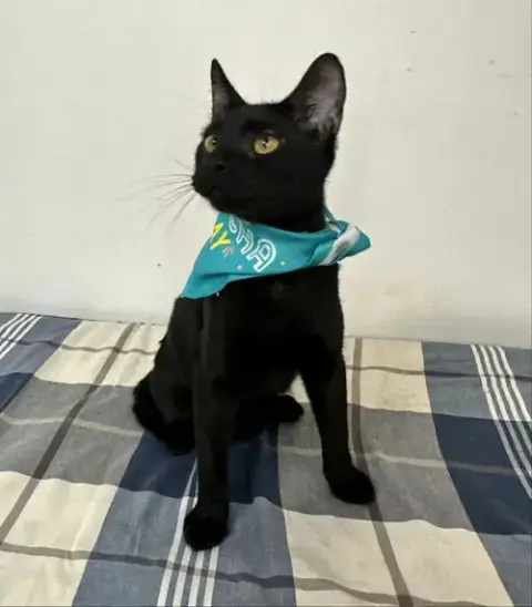 Todd photo 3