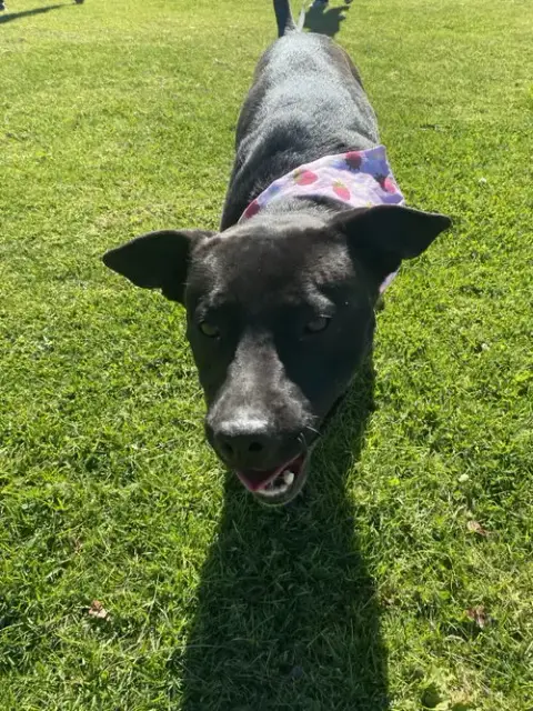 Eloise photo 4