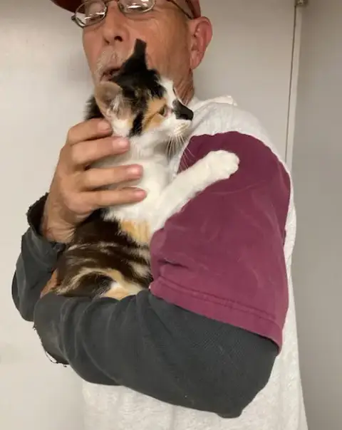 Taffy Bonded With Licorice