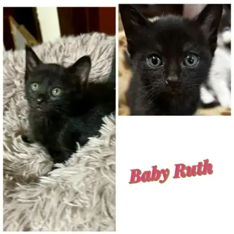 Baby Ruth Kk