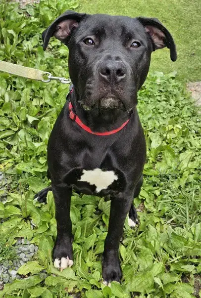 Linus photo 4