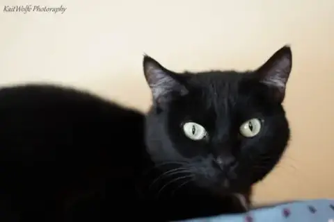 Fabiana photo 5