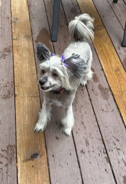 Sasha In Cincinnati Ohio photo 3