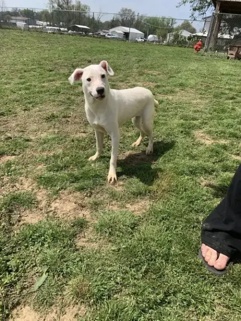 Casper