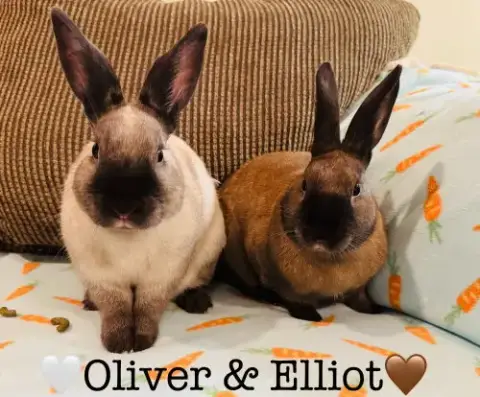 Elliott