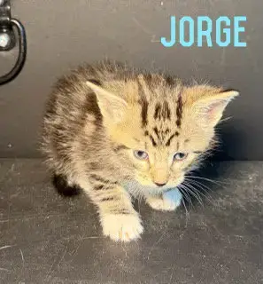 Jorge photo 2