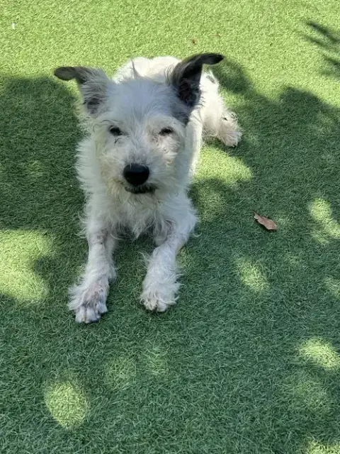 Krypto