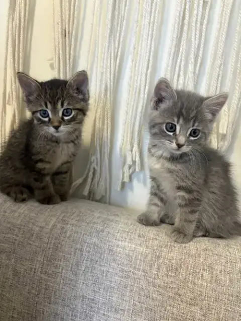 Jovi photo 2
